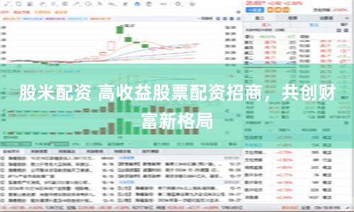 股米配资 高收益股票配资招商，共创财富新格局