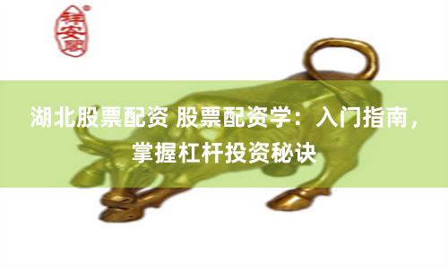 湖北股票配资 股票配资学：入门指南，掌握杠杆投资秘诀