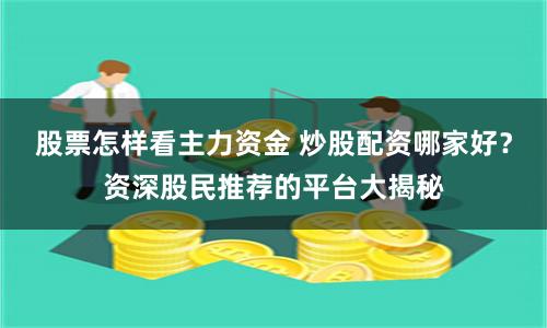 股票怎样看主力资金 炒股配资哪家好?资深股民推荐的平台大揭秘